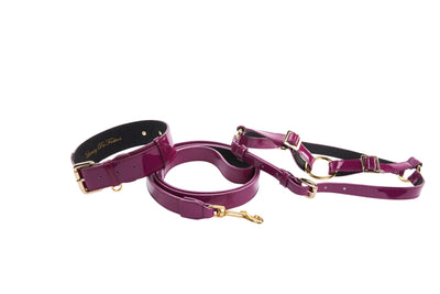 Purple patent leather dog collar, leash, and harness set with silver classic hardware