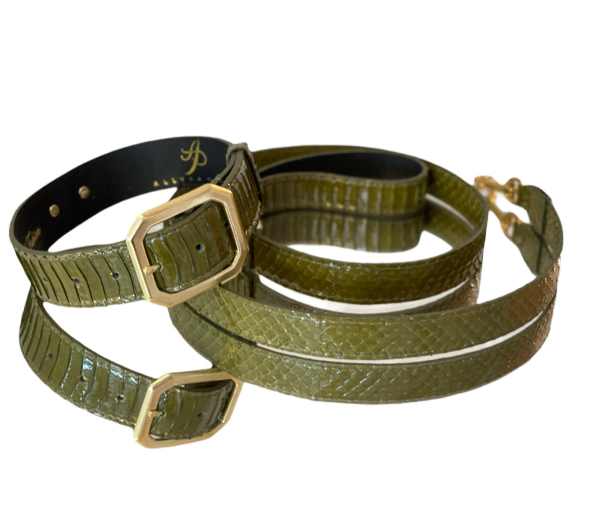 Olive green snakeskin textured pet collar and matching leash set with gold-tone square buckles and black leather lining on collar.