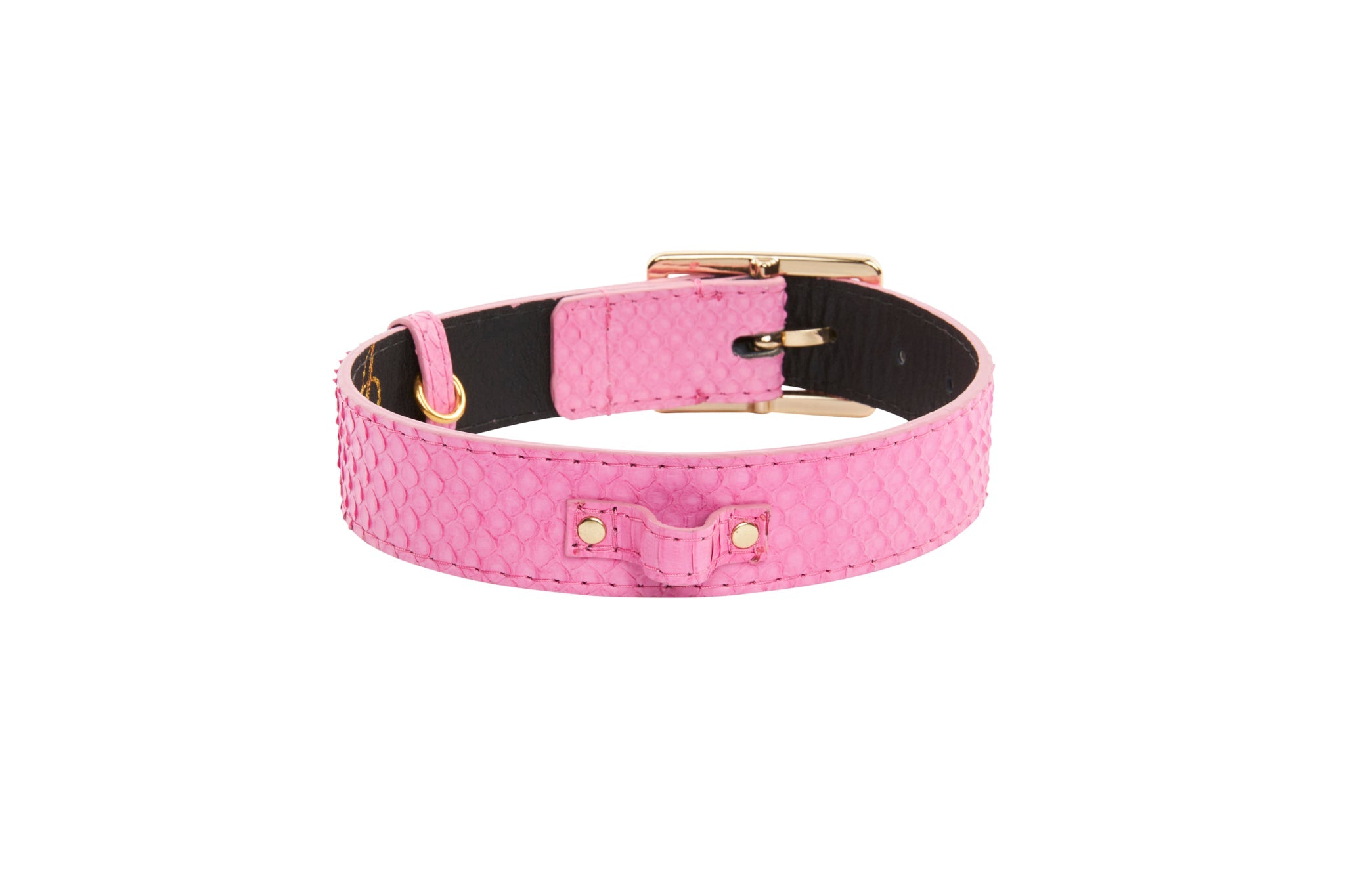 Luxury Pet Fashion Neon Pink Snake Collar With Modern Gold Hardware