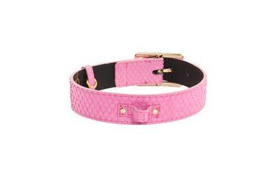 Luxury Pet Fashion Neon Pink Snake Collar With Modern Gold Hardware