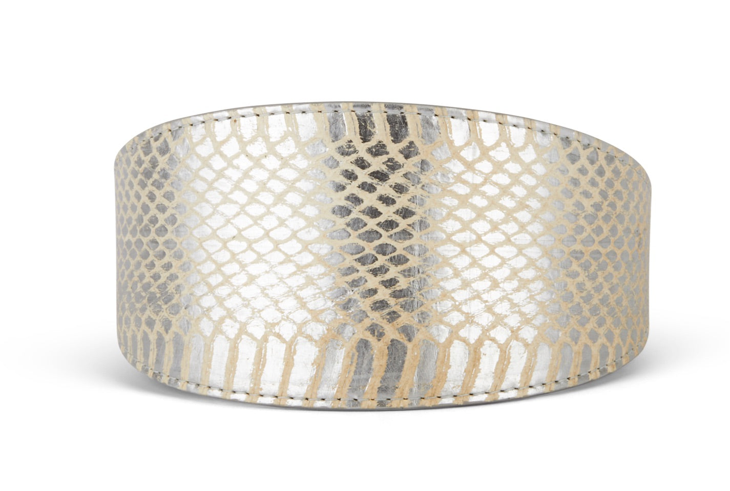 Glamorous Silver Snake 3” Wide Style Collar displayed on a dark surface with silver hardware visible.