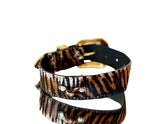 Tiger print hair-on-hide leather pet collar with gold-tone buckle and hardware, shown resting on a reflective surface against a white background.