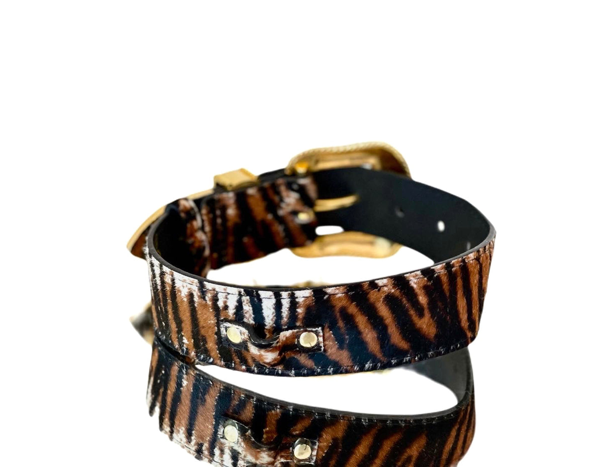 Tiger print hair-on-hide leather pet collar with gold-tone buckle and hardware, shown resting on a reflective surface against a white background.