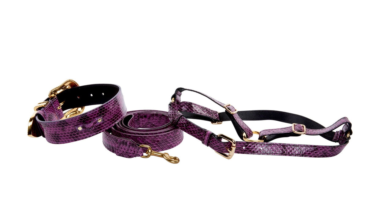 Luxury Pet Fashion Purple & Black Viper Snake Collar With Swarovski by Allysa Payne Beverly Hills - product image 2 for Resin Society