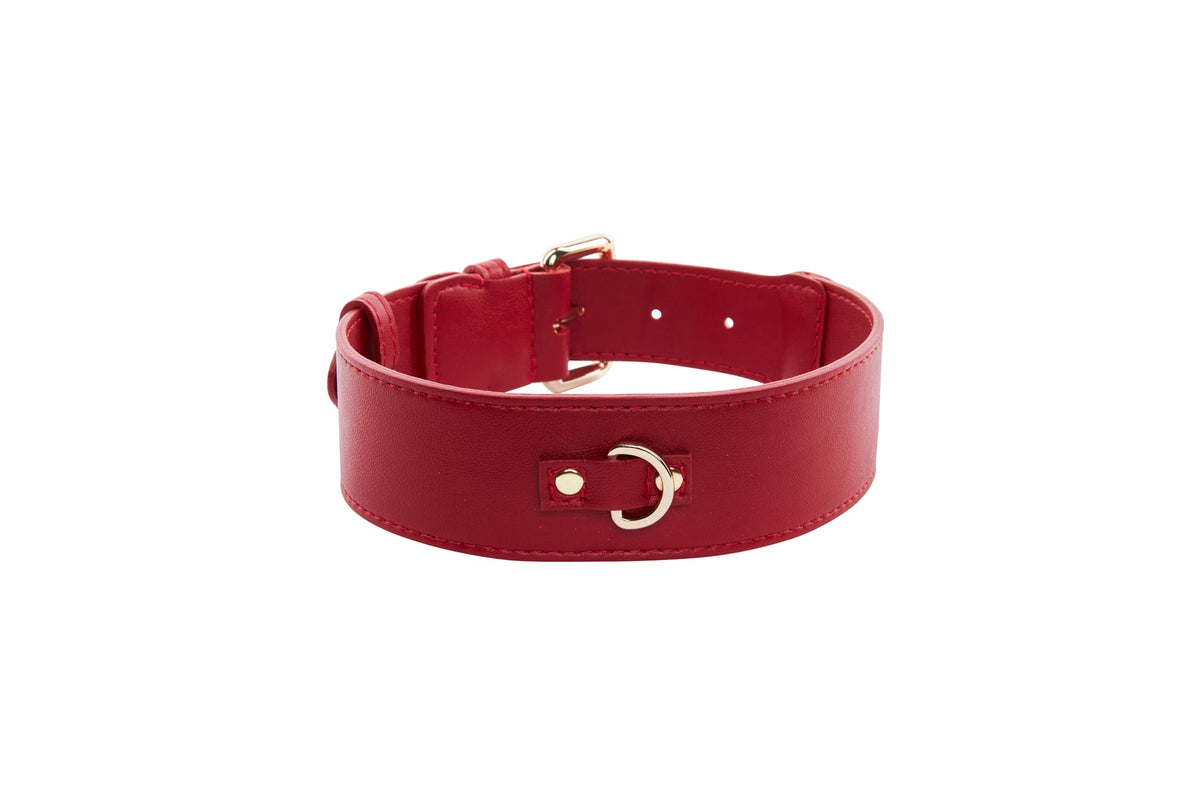 Red vegan leather collar featuring a small centered D-ring on the front and adjustable buckle strap, displayed against a white background.