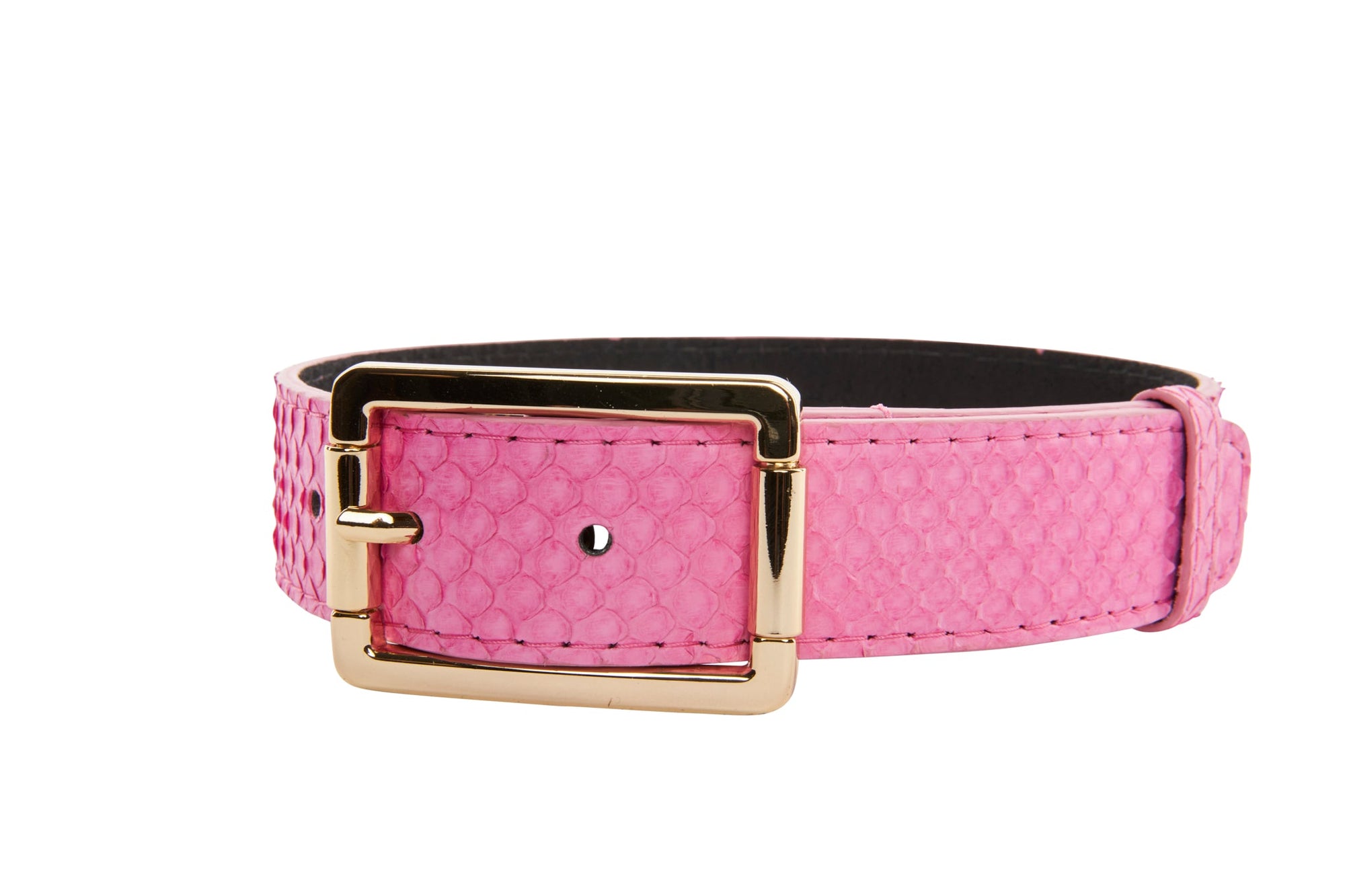 Neon pink snake patterned pet collar with gold hardware on a white background