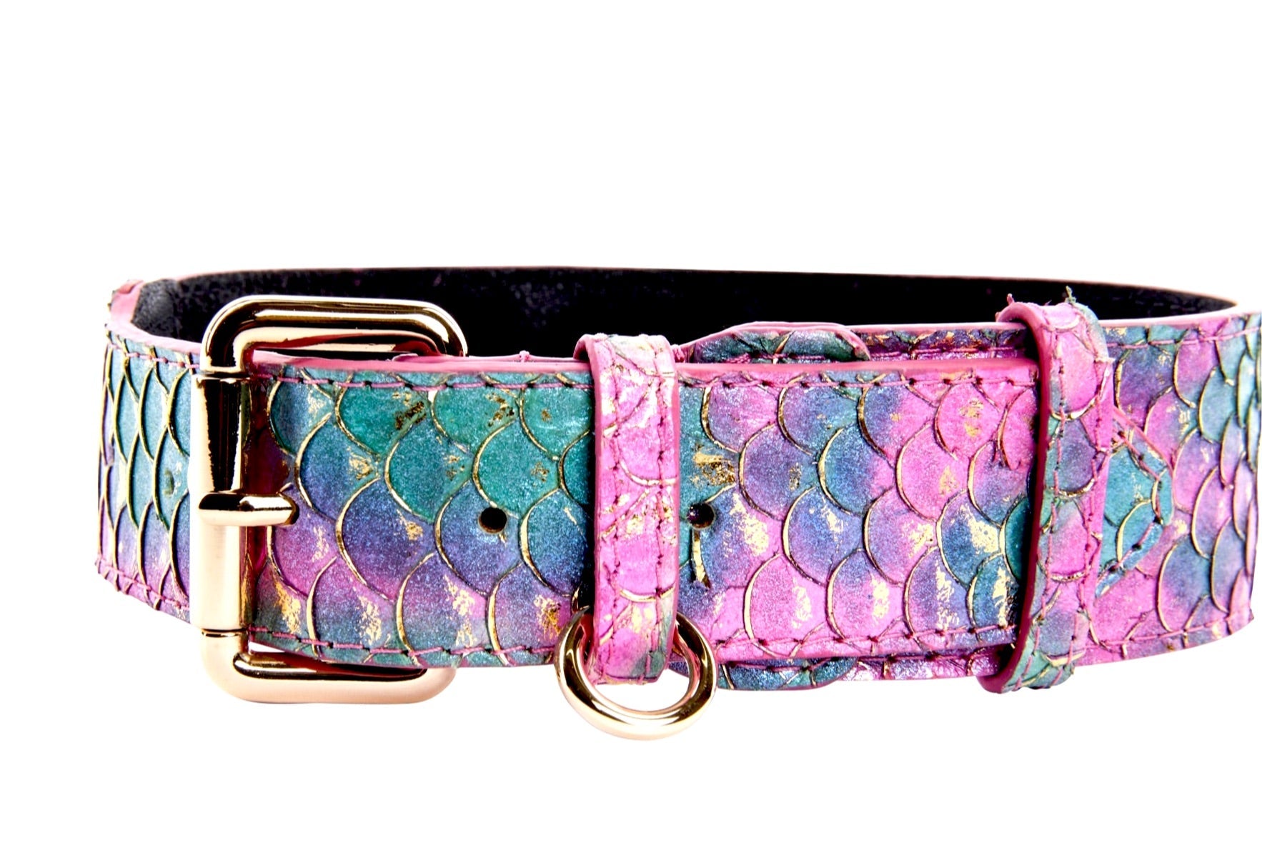 Luxury pet collar in custom colored tilapia leather with gold classic hardware from Mermaid Collection