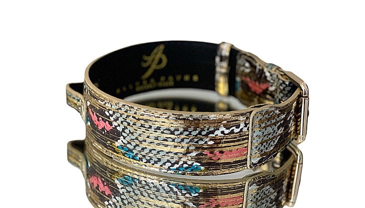 Luxury Pet Fashion Scottsdale Collection