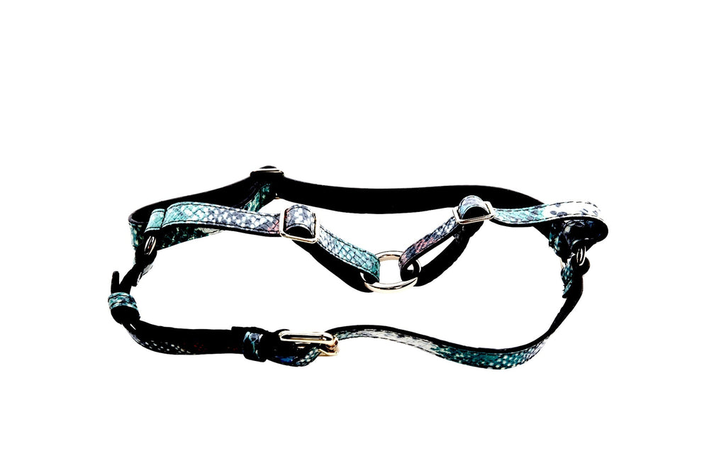 Leather harness with embossed snake texture in green, blue, black, and red hues, featuring adjustable buckles and silver metal rings on a white background.