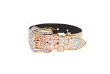 Copper embossed crocodile Italian leather collar with a gold buckle and encrusted Swarovski crystals on the buckle and strap loop, shown against a white background.