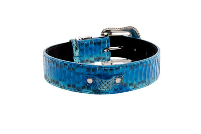 Blue & Turquoise Snake Collar With Silver Swarovski Crystal Hardware by Allysa Payne Beverly Hills - product image 2 for Resin Society