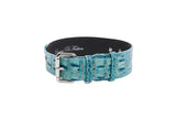 Turquoise embossed crocodile-patterned leather collar with silver buckle and hardware, featuring black inner lining and luxury branding.