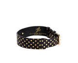 Black leather dog collar with evenly spaced small gold polka dots and a gold metal buckle, styled in a circle with brand name embossed inside.