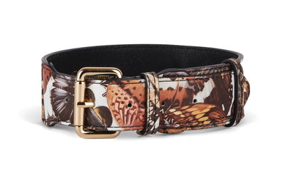 Butterfly Print Italian Leather Classic Collar with gold hardware on white background