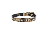 Black collar with gold snake print pattern and oval gold buckle and hardware, displayed on a plain white background.