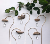 Five driftwood suncatcher sticks each with a unique organic shape and a faceted clear crystal hanging below, arranged on a white background with green leaves above.