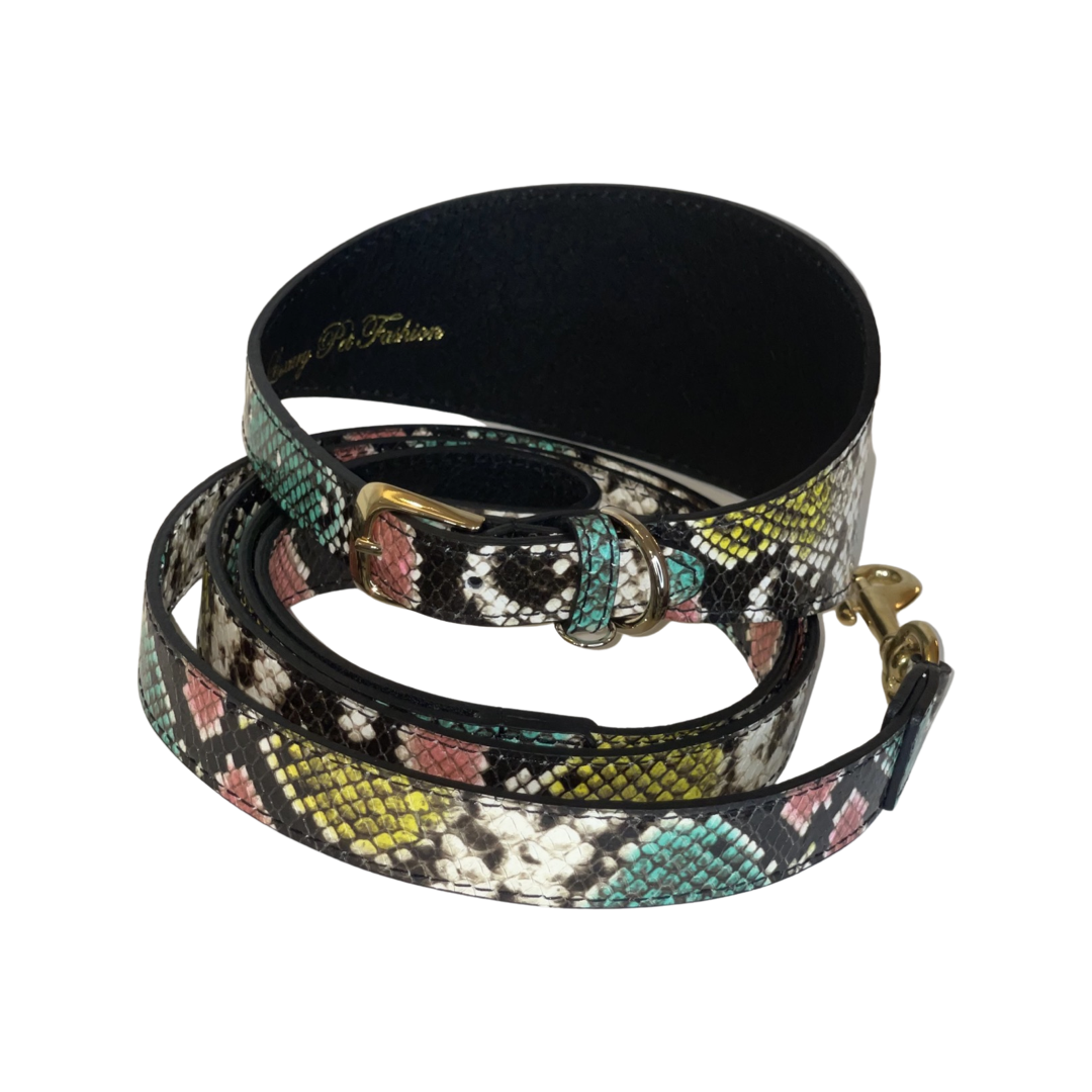 Rolled multi-color embossed snake-patterned leather collar and leash set with gold-tone hardware accents, highlighting teal, pink, yellow, and black hues.