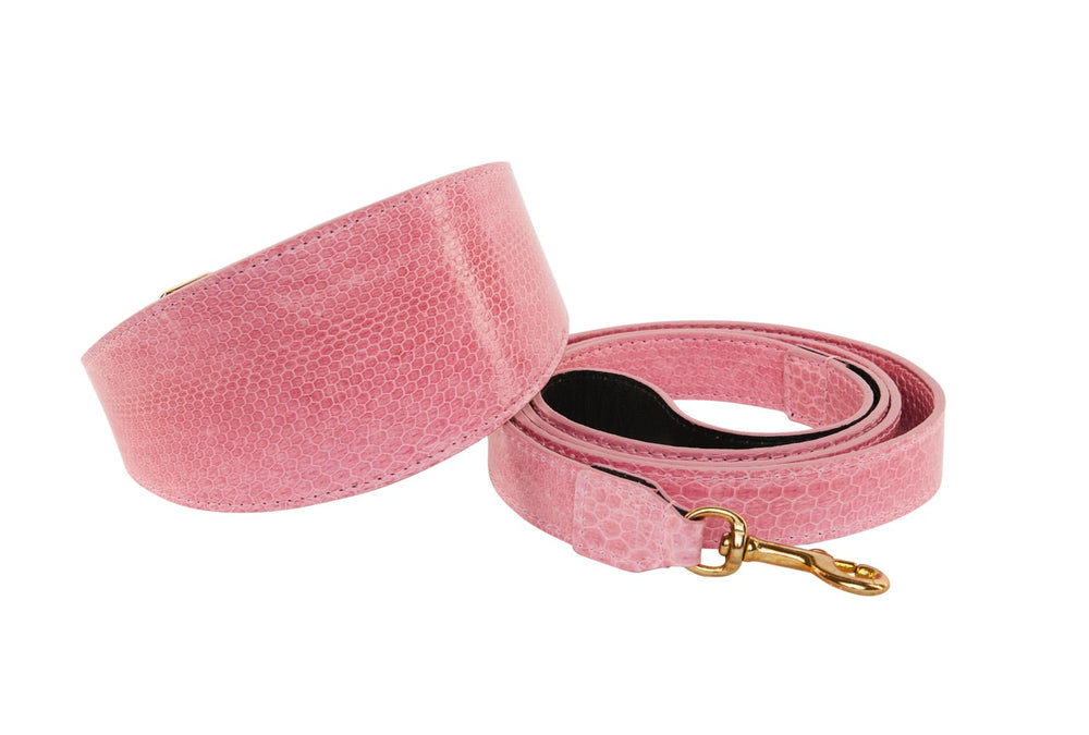 Soft pink dog collar and matching leash set featuring a subtle snake-scale pattern and gold-colored metal hardware, laid flat on a white background.
