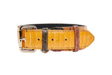 Mustard yellow snakeskin belt with a silver rectangular buckle and two contrasting loops in dark brown and reddish tones, shown flat on white background.