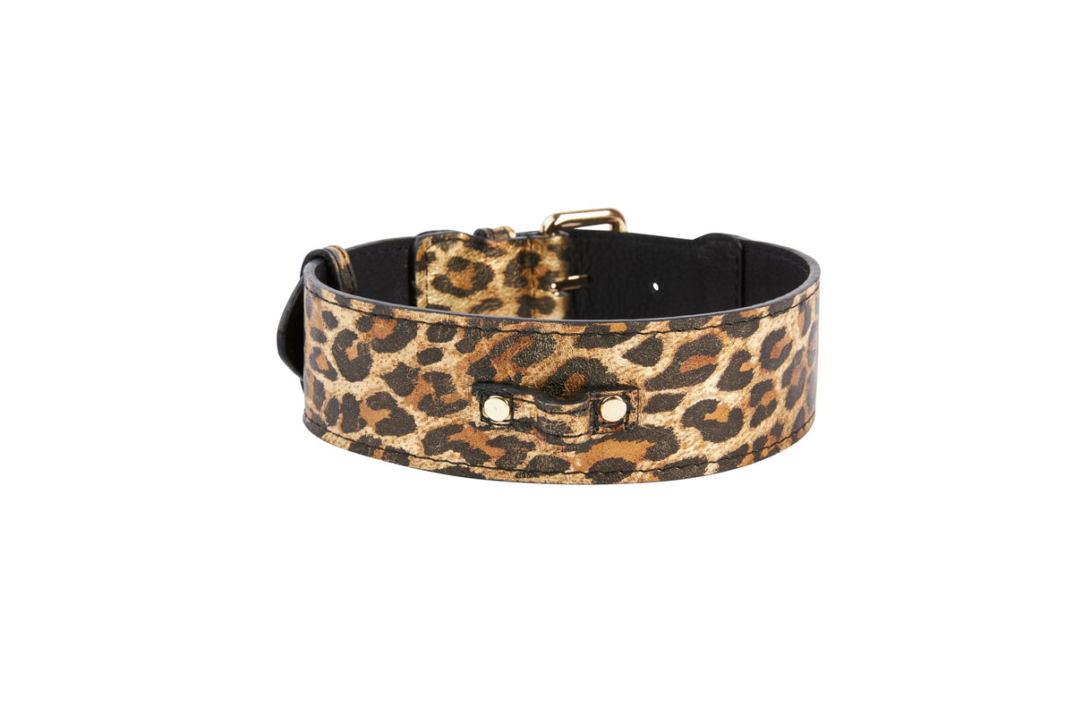 Wide leather collar with a leopard print pattern, featuring classic gold buckle and hardware, shown on a white background.