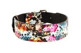 Leather dog collar with vibrant floral and skull pattern featuring pink, orange, and blue hues and silver buckle hardware, shown on white background.