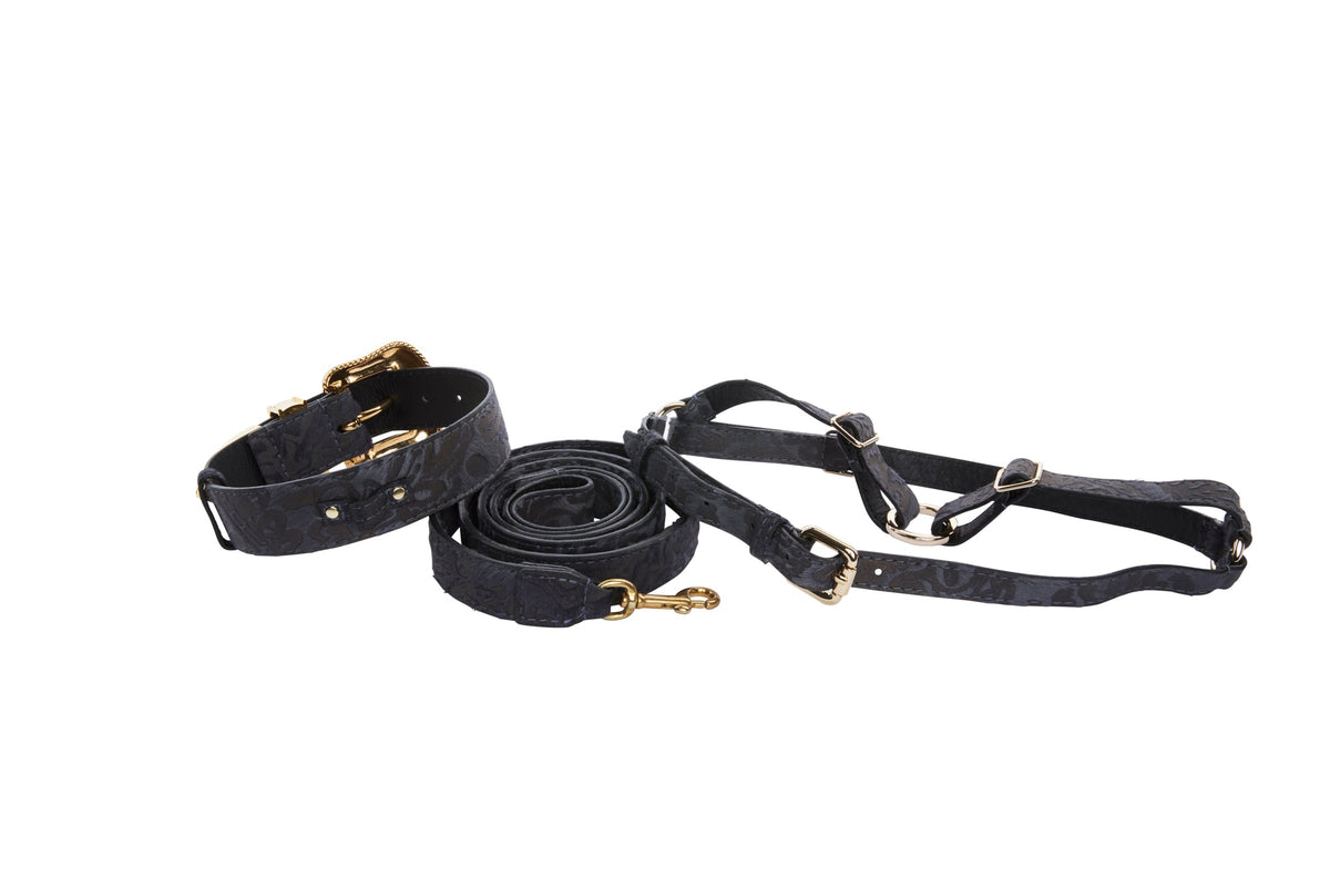 Set of black leather dog collar, leash, and harness with velvety floral patterns and gold-tone hardware, laid out on a white background.