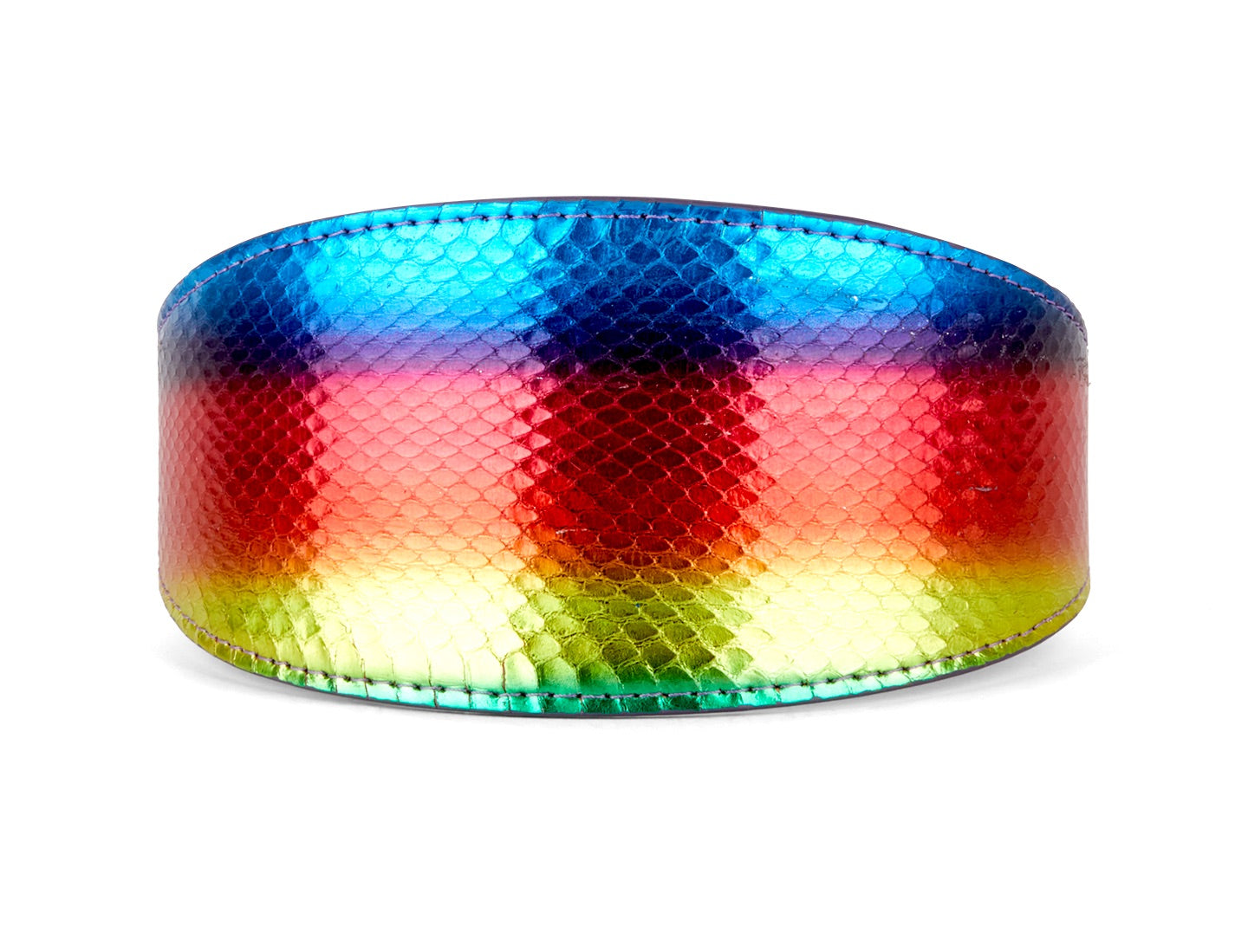 Rainbow Snake 3” Wide Style Collar laid flat showing vibrant multi-color snake design