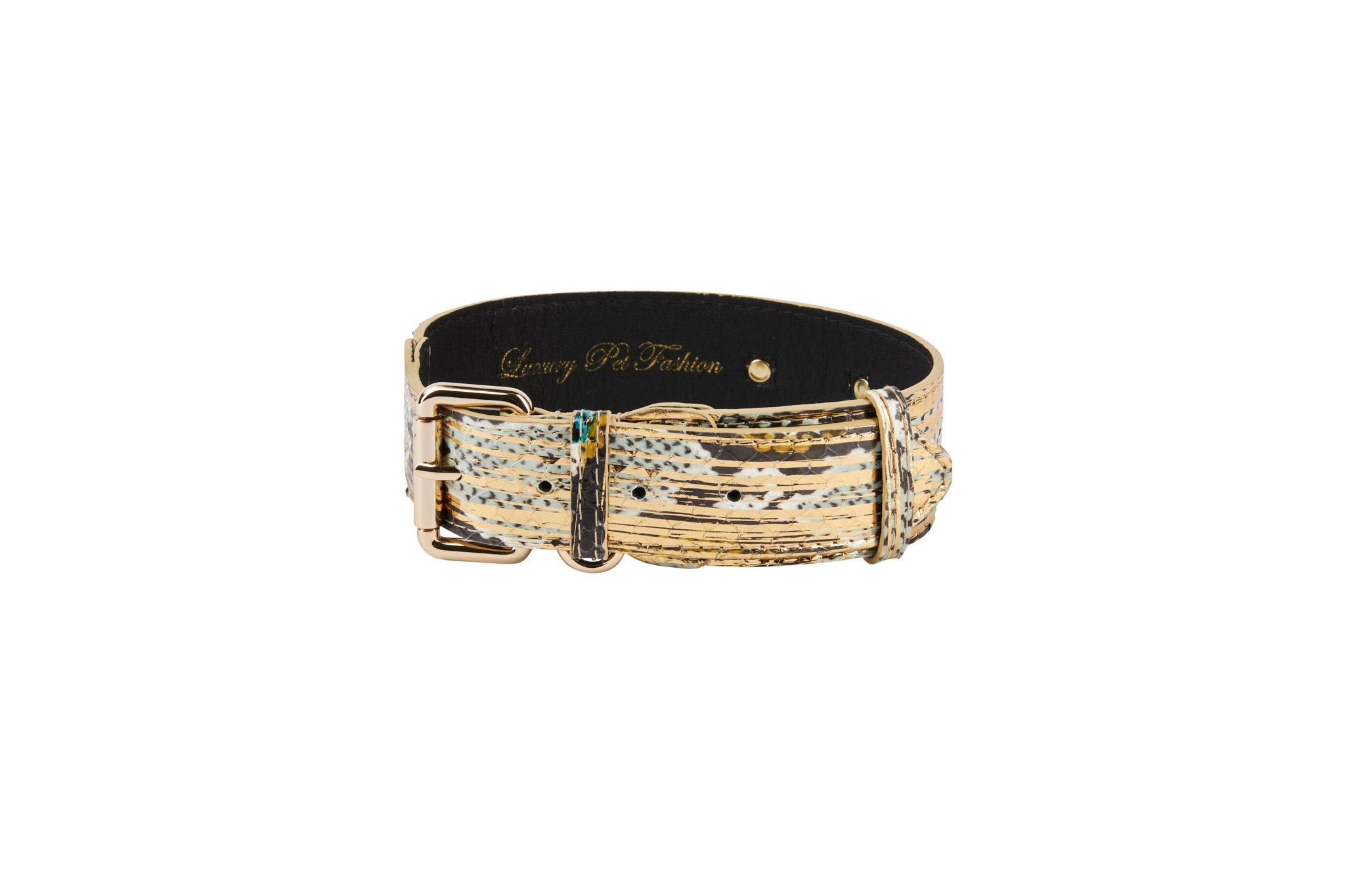 Scottsdale Collection Multi Color Gold Snake Classic Collar