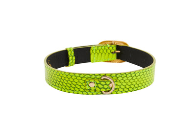 Neon Green Snake/Vintage Black & Gold Italian Hardware Collar