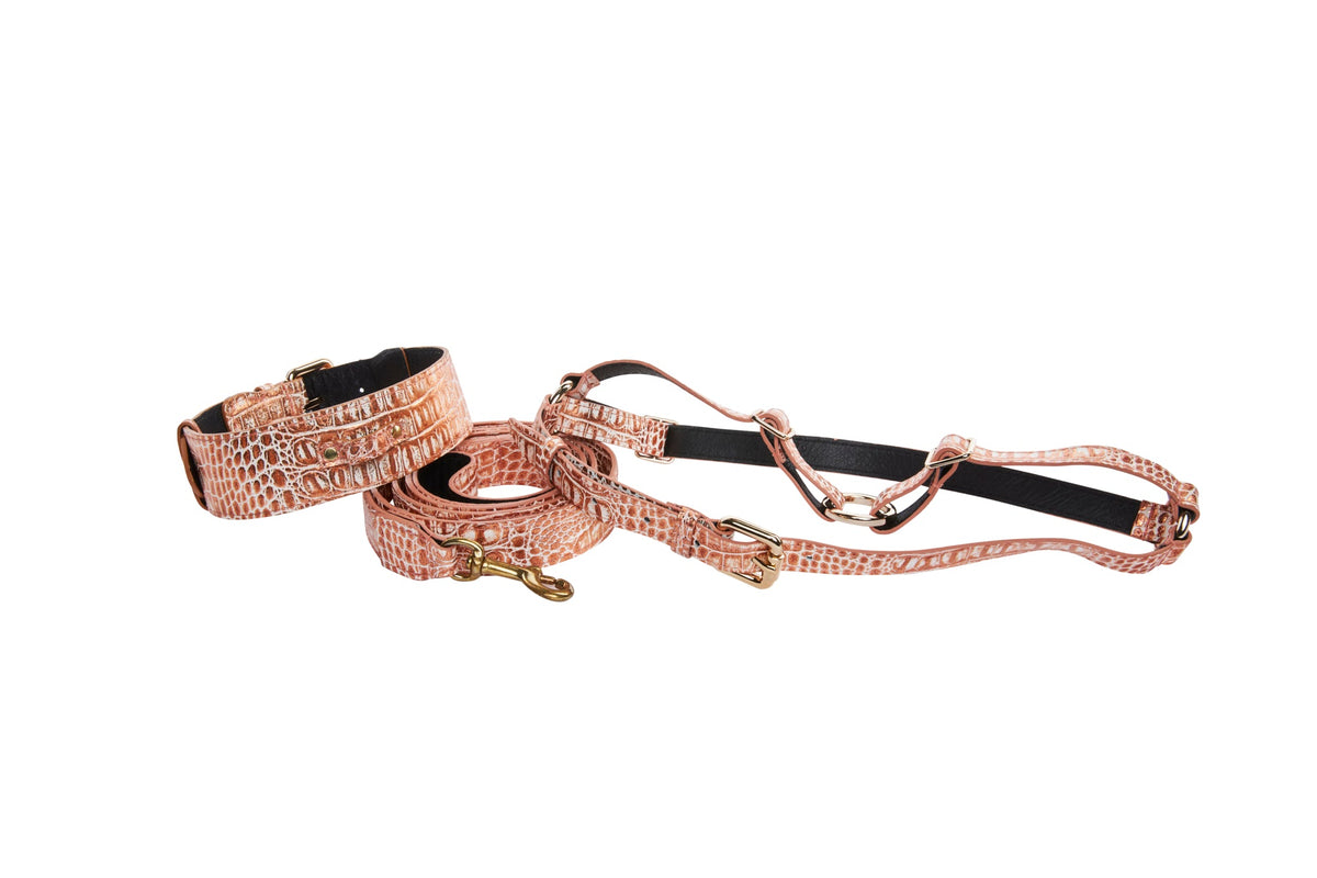 Copper-colored croc-embossed leather classic collar, leash, and harness set with gold-tone hardware accents laid out on white background