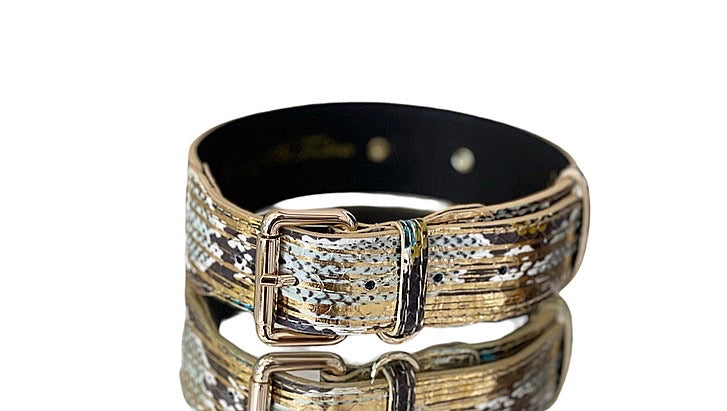 Gold multi-tone snakeskin pet collar with gold hardware and Italian leather lining