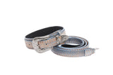 Luxury pet collar and leash set in baby blue, blue, and bronze snake pattern finished with silver floral western hardware