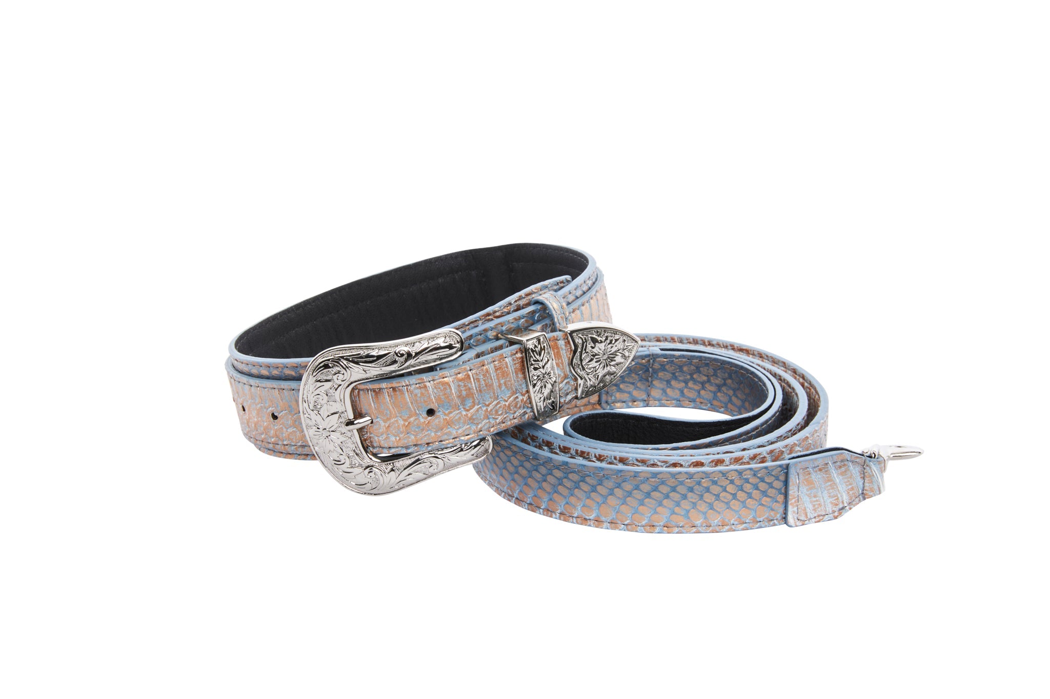 Luxury pet collar and leash set in baby blue, blue, and bronze snake pattern finished with silver floral western hardware