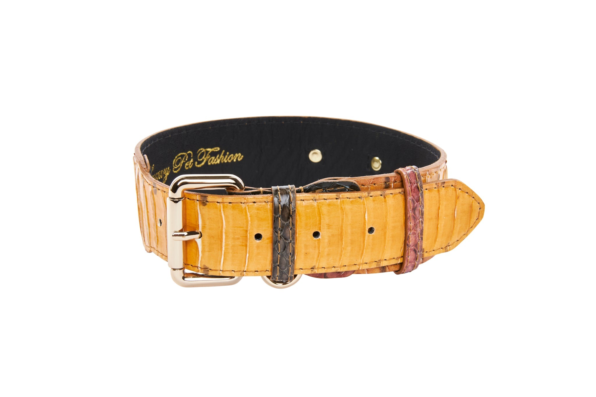 Mustard yellow snakeskin collar featuring classic gold hardware on white background