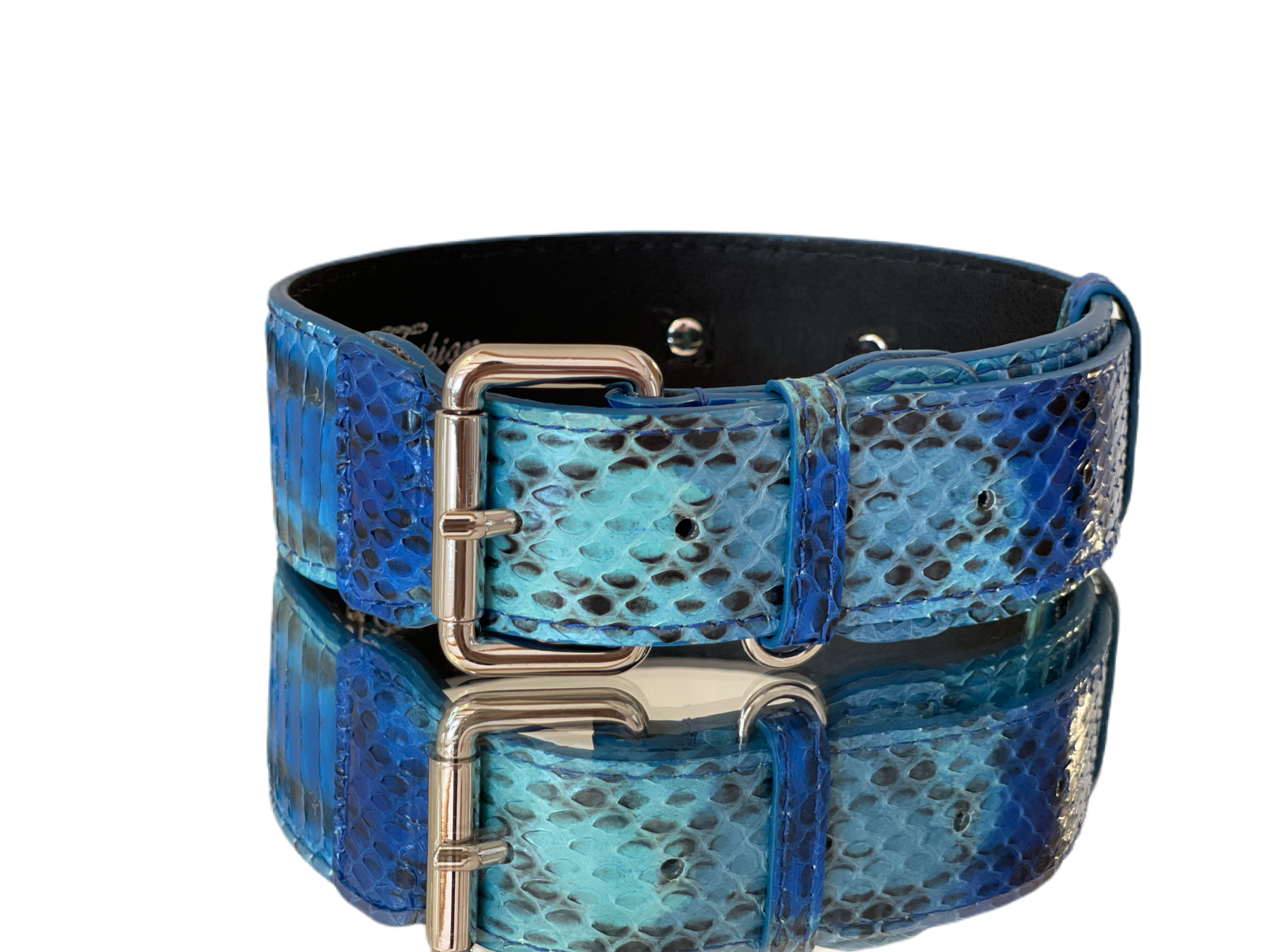 Blue and turquoise snakeskin dog collar with silver hardware laid flat