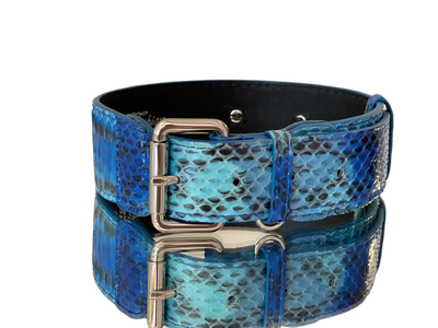 Blue and turquoise snakeskin dog collar with silver hardware laid flat