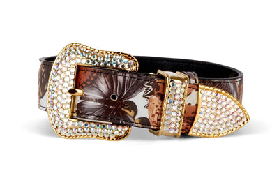 Butterfly print Italian leather collar with gold Swarovski crystal hardware lying on a woven surface
