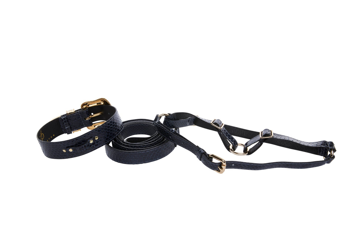 Navy blue faux snake skin collar, leash, and harness set with gold and silver-tone adjustable buckles and hardware, shown laid out on white background.