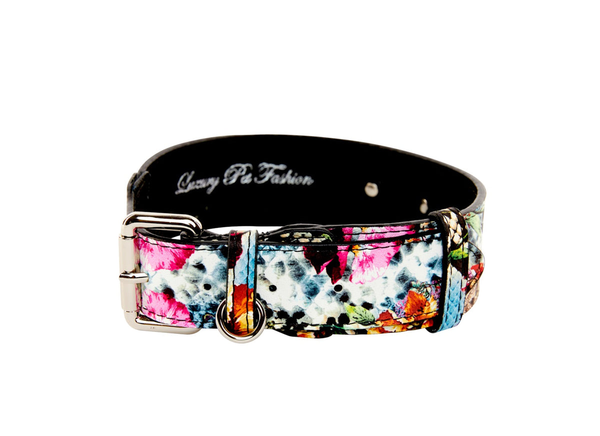 Italian leather collar with colorful floral and snake print in pink, black, and orange, featuring a silver buckle and D-ring on a black inner band.