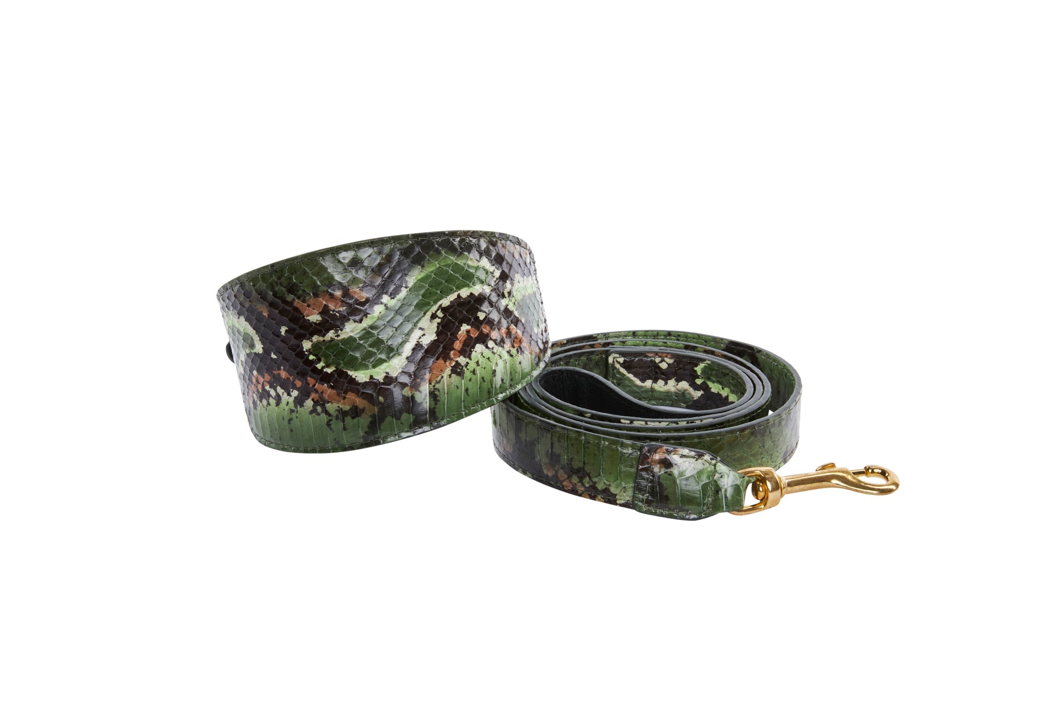 Multi Color Green Snake 3” Wide Style Collar & Leash Set by Allysa Payne Beverly Hills - product image 2 for Resin Society