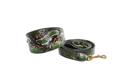 Multi Color Green Snake 3” Wide Style Collar & Leash Set by Allysa Payne Beverly Hills - product image 2 for Resin Society