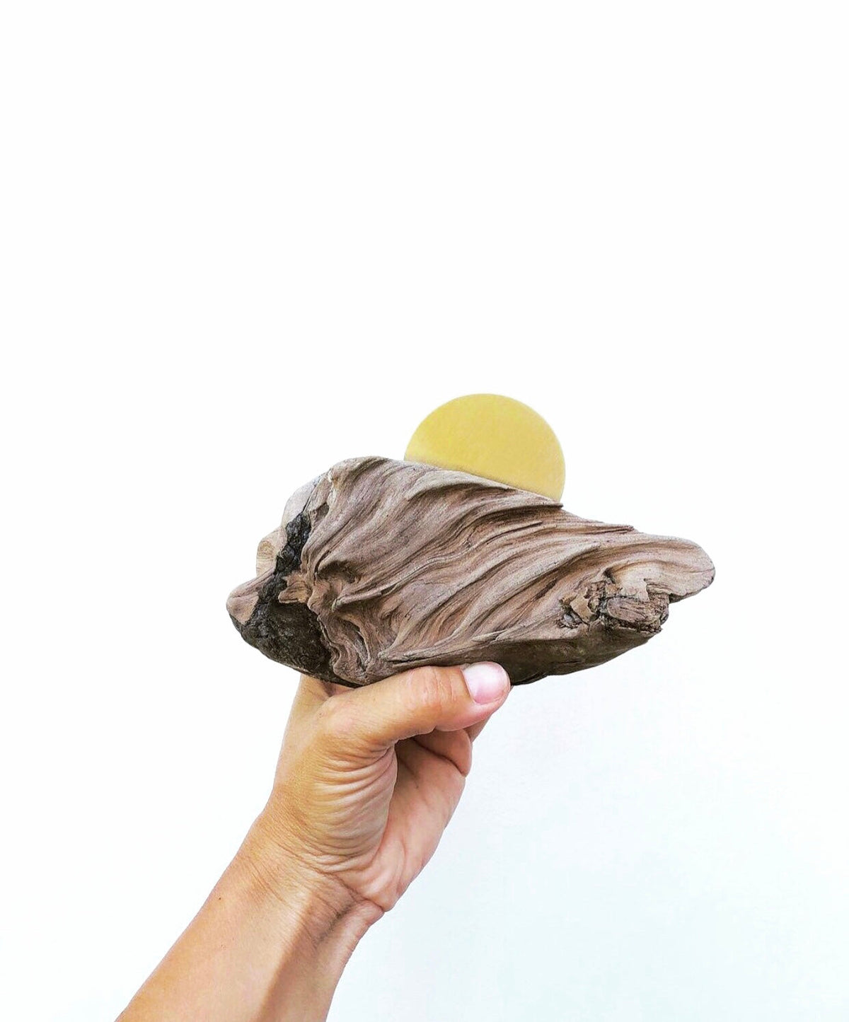 Hand holding a textured piece of weathered driftwood with a smooth, round yellow disk partially embedded at the back against a white background.