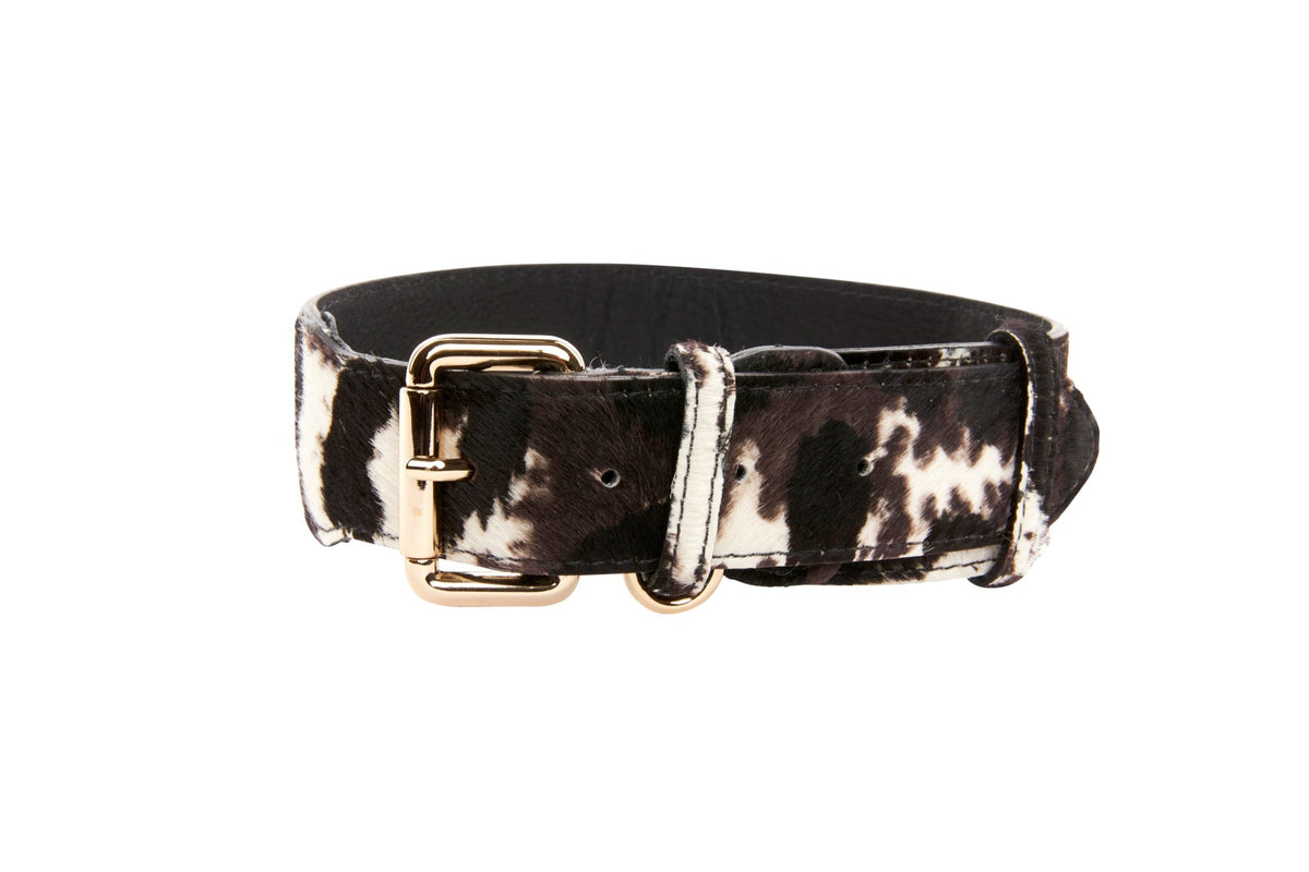 Brown, black, and white hair-on-hide dog collar with rectangular gold buckle and D-ring, shown against a white background.
