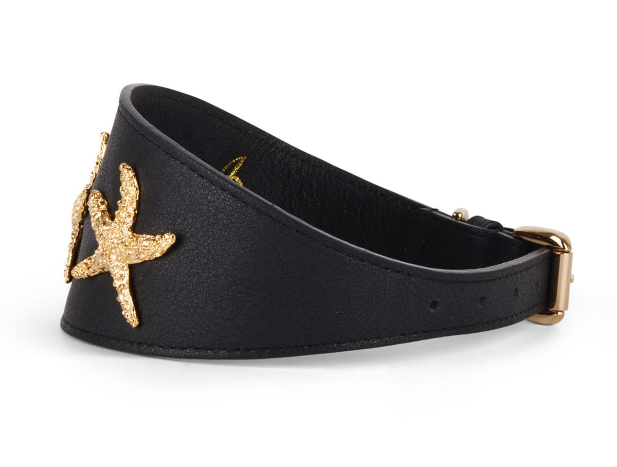 Smooth black Italian leather collar, 3 inches wide, featuring a gold custom starfish detail and gold buckle attachment, shown on a white background.