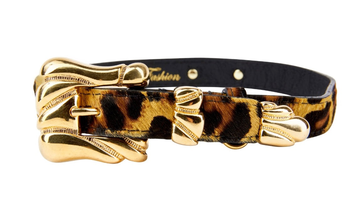 Leopard Print Hair On Hide Italian Leather Collar With Ornate Italian by Allysa Payne Beverly Hills - main product image for Resin Society