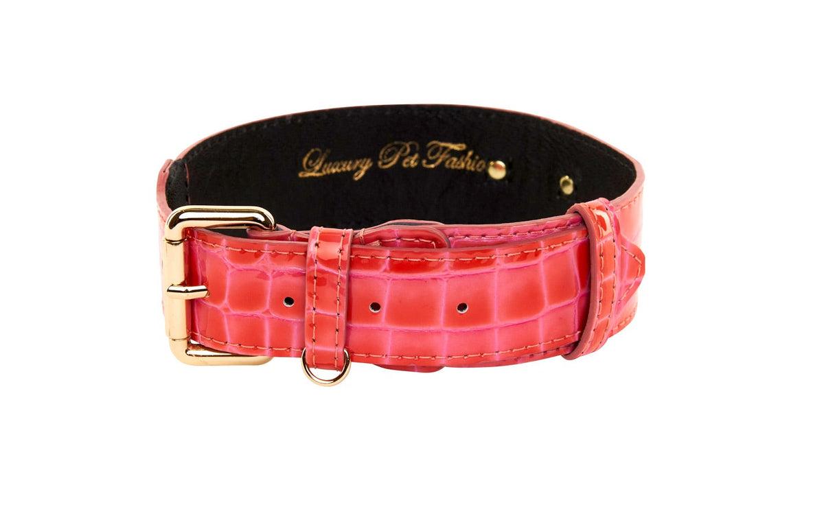 Orange and pink patent leather pet collar with crocodile texture and gold-tone buckle, shown from the front with visible belt holes and a leather loop