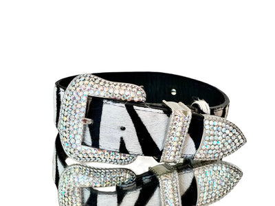 Tiger print Italian leather pet collar with Swarovski crystal hardware displayed flat