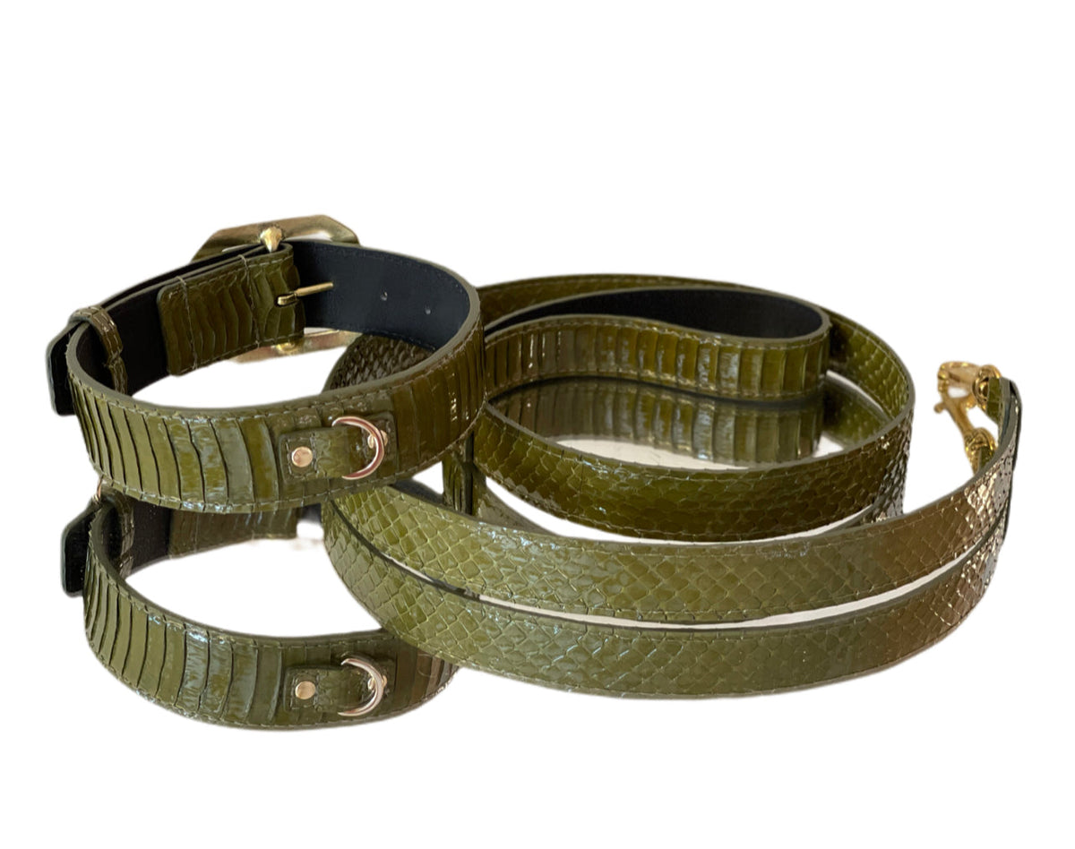 Olive green snakeskin-textured dog collar and matching leash set with gold-tone buckle and clasp hardware.