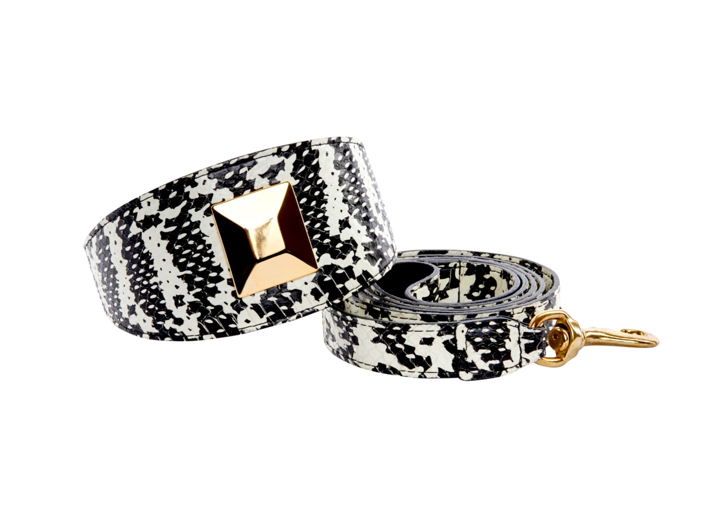 Black and white snake pattern pet collar with large gold rivet alongside matching leash