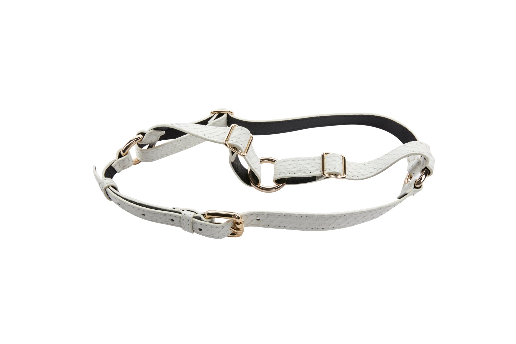 Matte White Snake Harness With Gold Hardware by Allysa Payne Beverly Hills - main product image for Resin Society